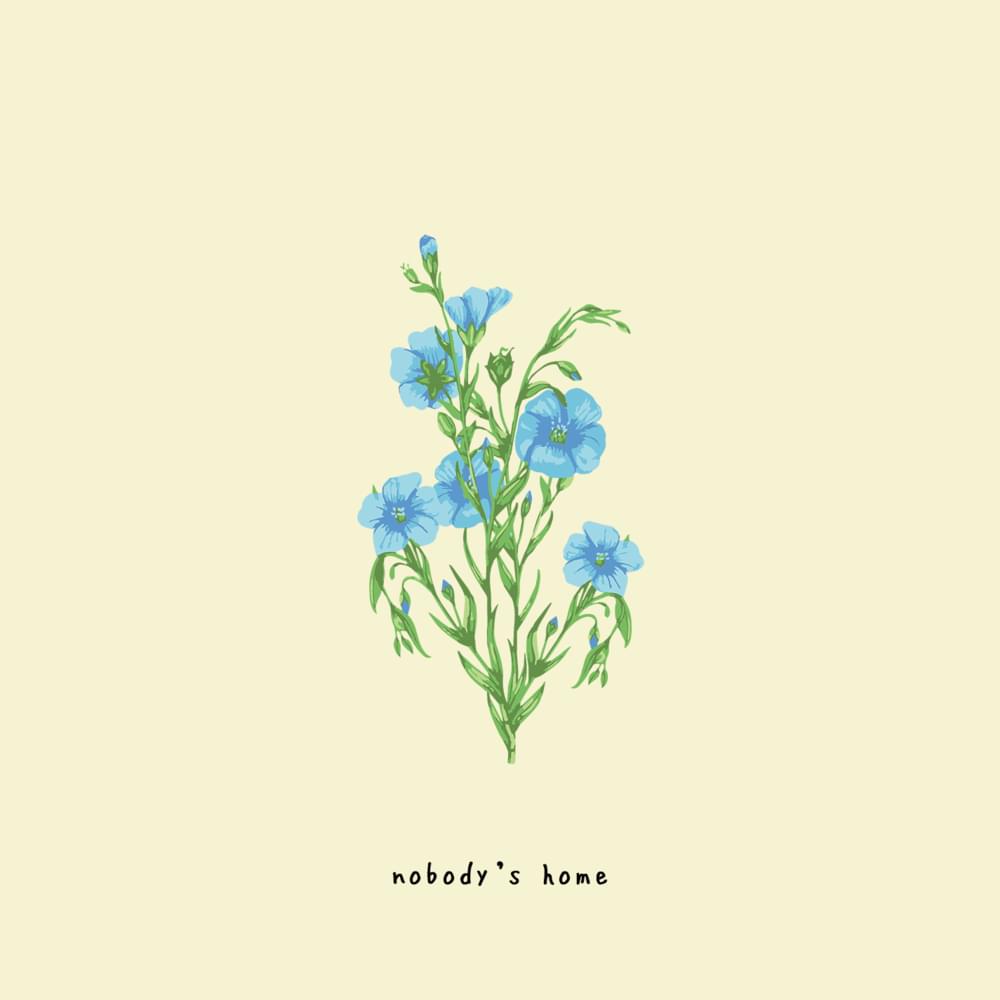 Album cover art for "​nobody’s home" by gnash