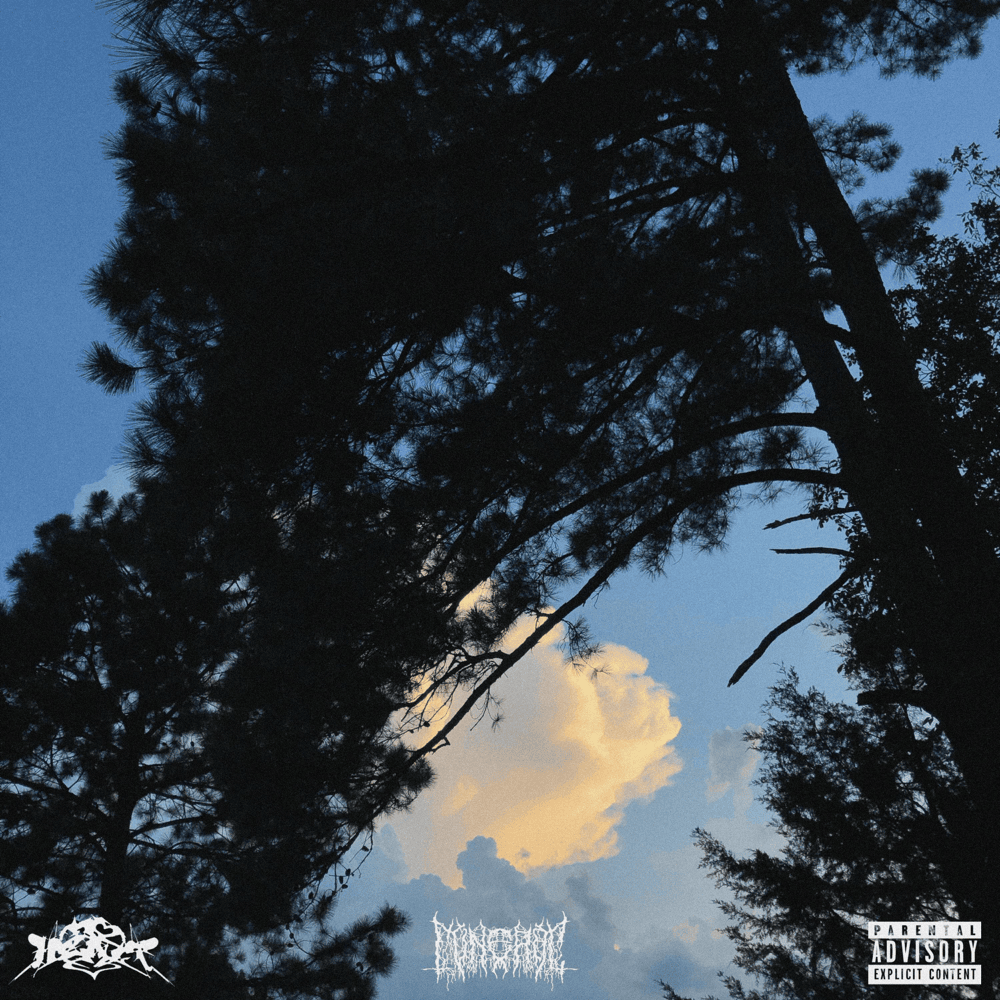 FLY ON THE WALL by funeral