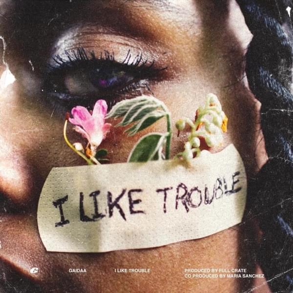 I Like Trouble by Gaidaa