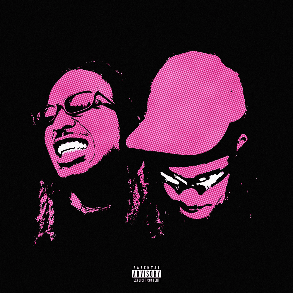 pink dreads by DDG