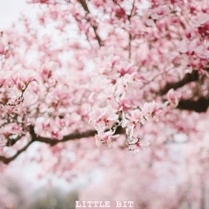 Album cover art for "Little Bit" by Spadez