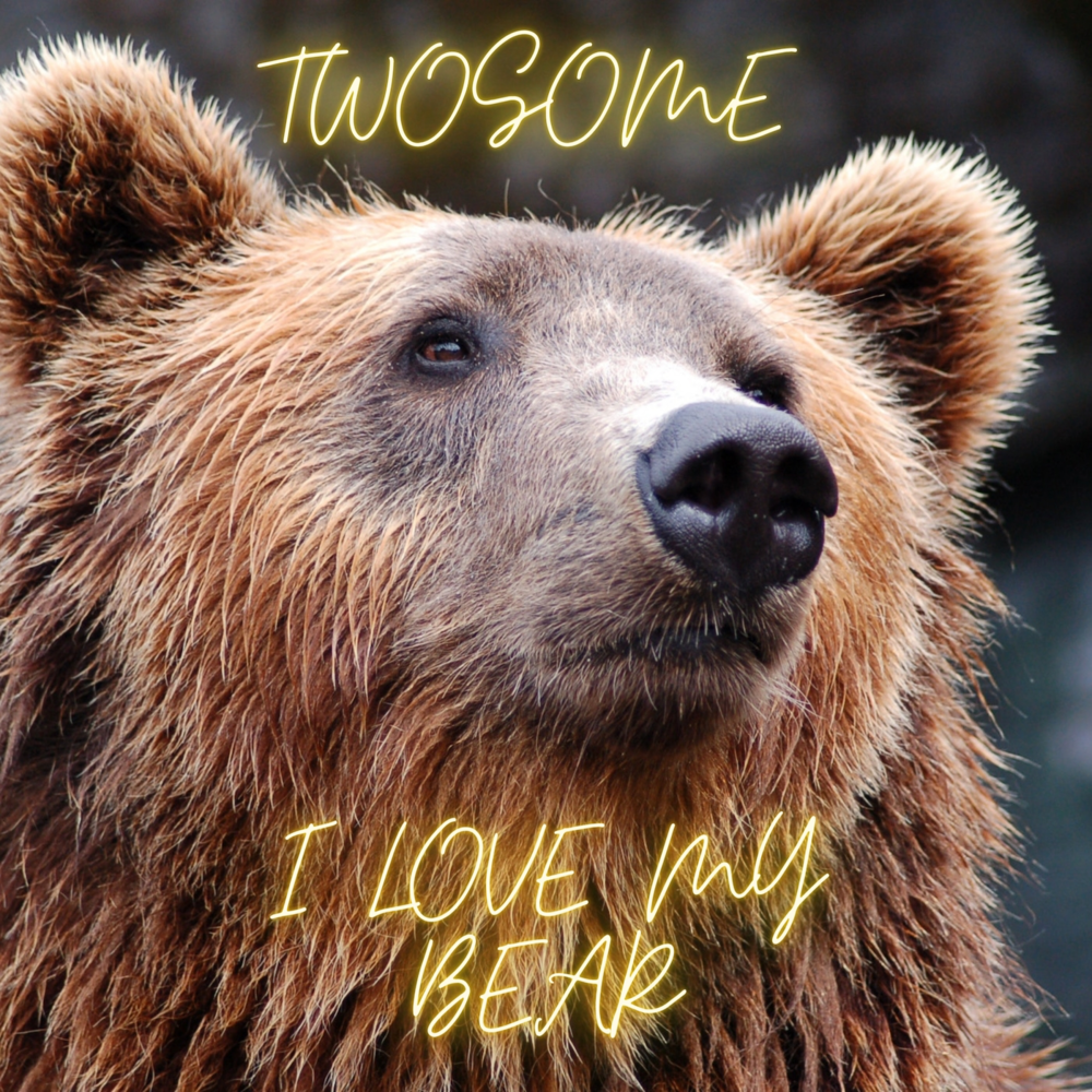 Album cover art for "I Love My Bear" by Twosome
