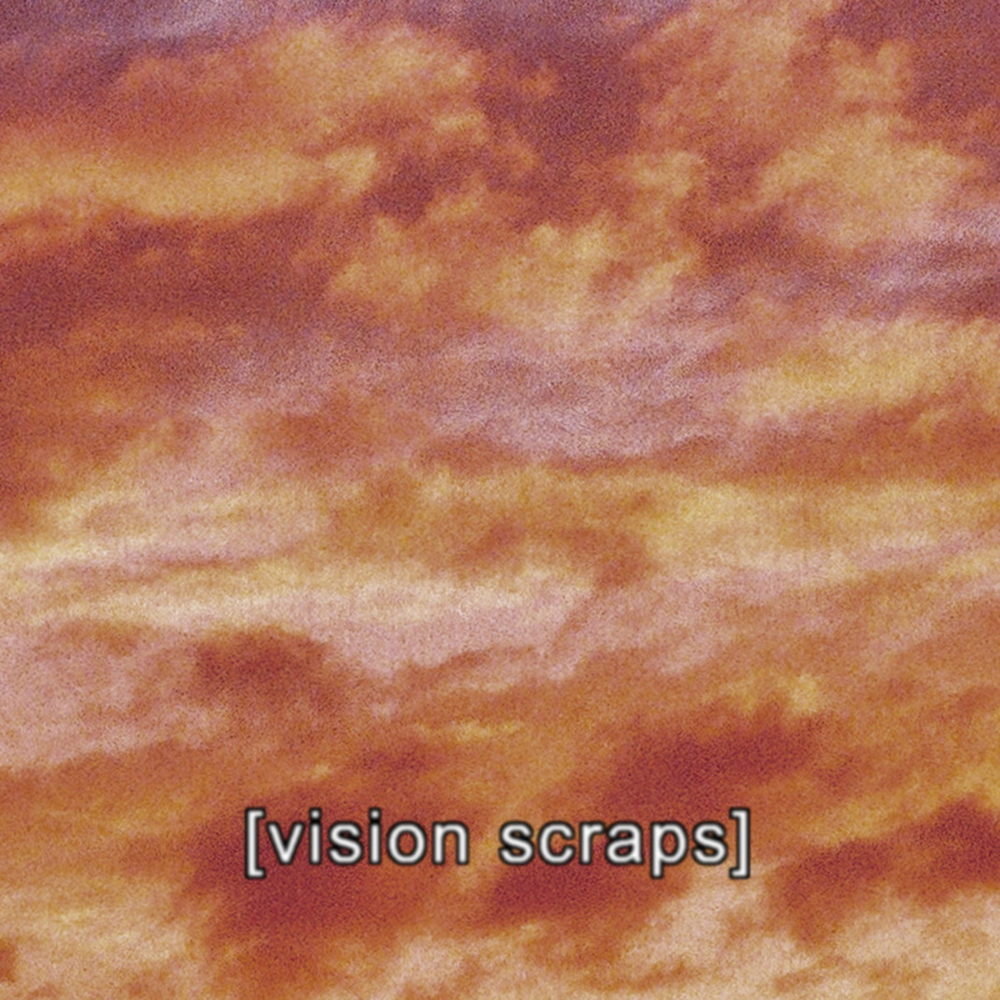 Vision Scraps by Lightning Bug