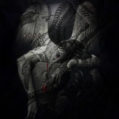 Cover image for wixxo