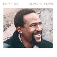 Album cover art for "Life’s Opera" by Marvin Gaye