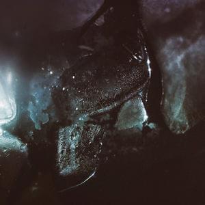 Cover image for Remnants