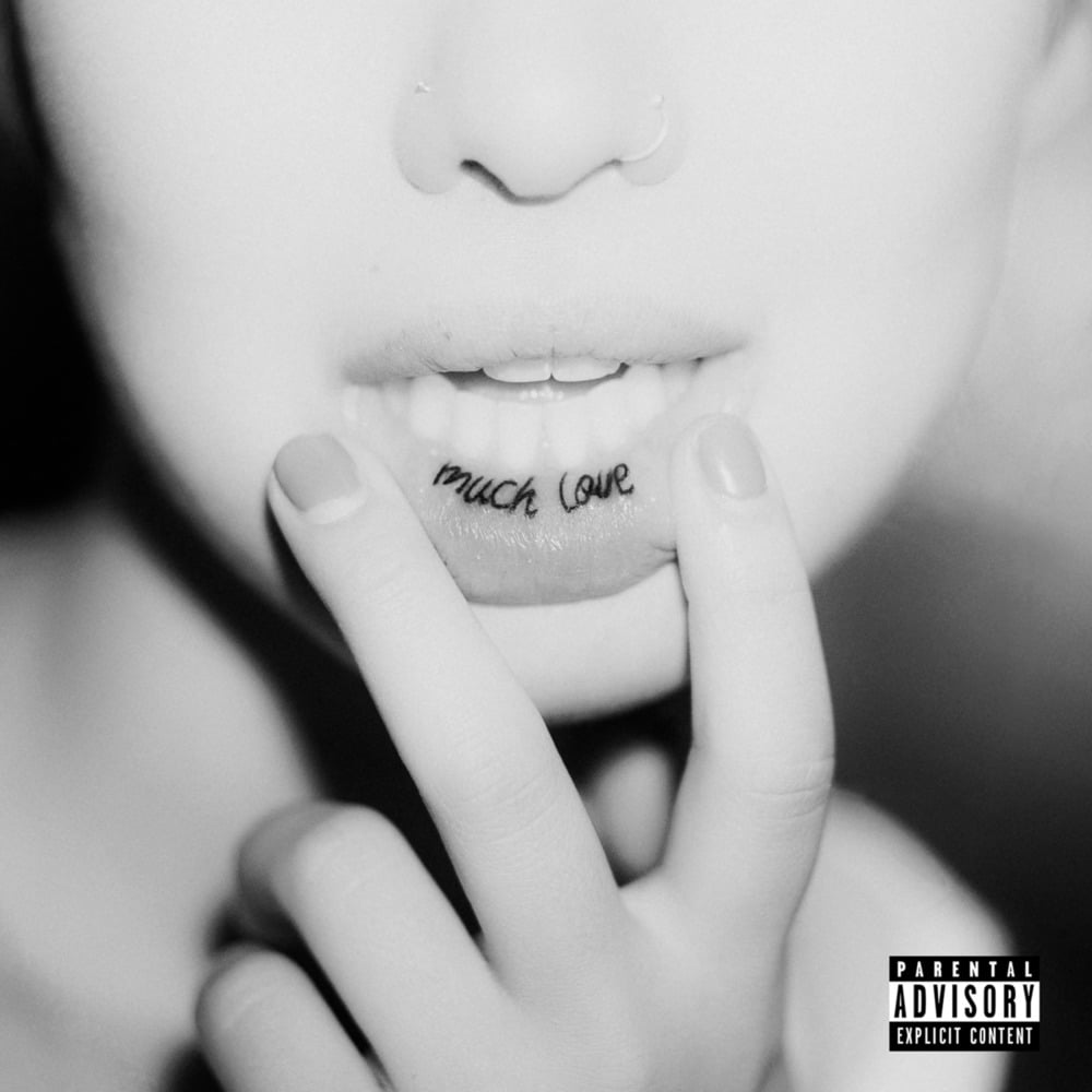 Cover image for Much Love