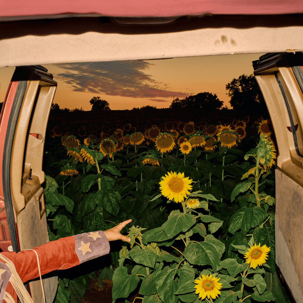 Cover image for Little Wide Open