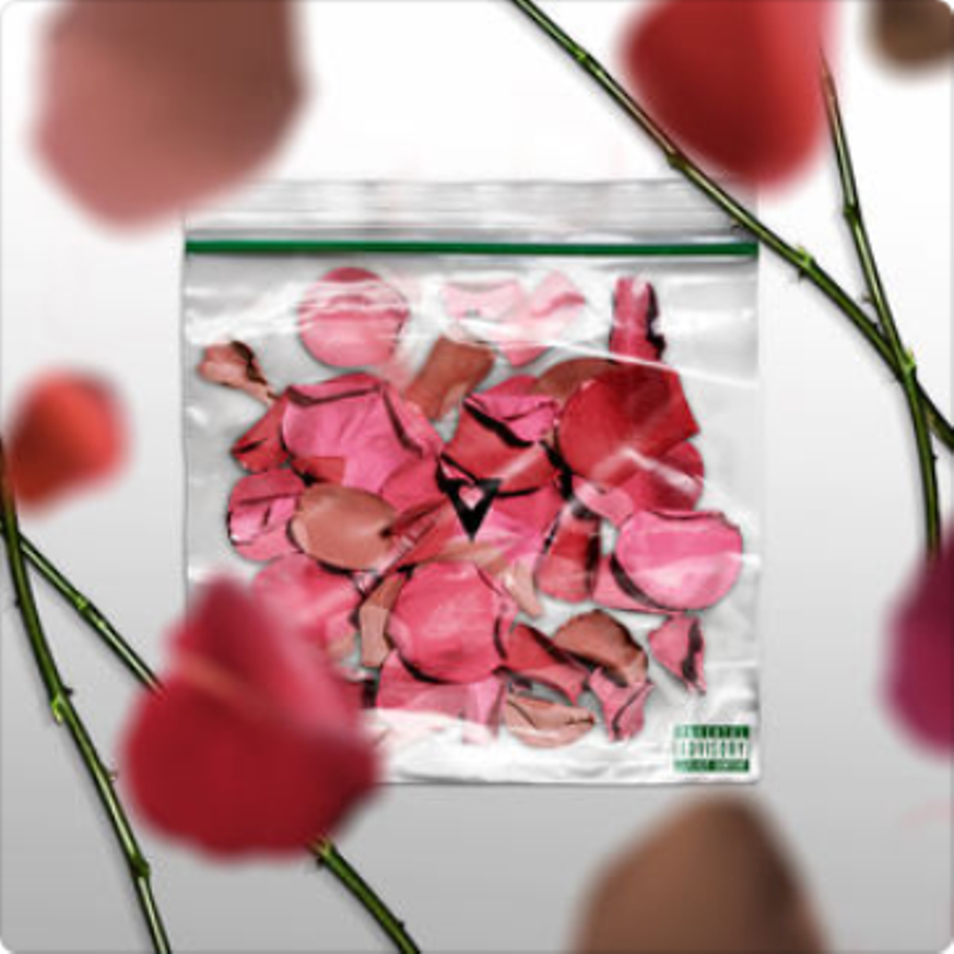 Album cover art for "Coulée" by Lala &ce