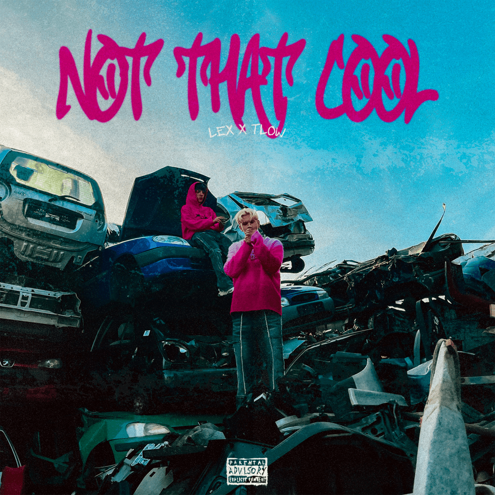 Album cover art for "Not That Cool" by LEX