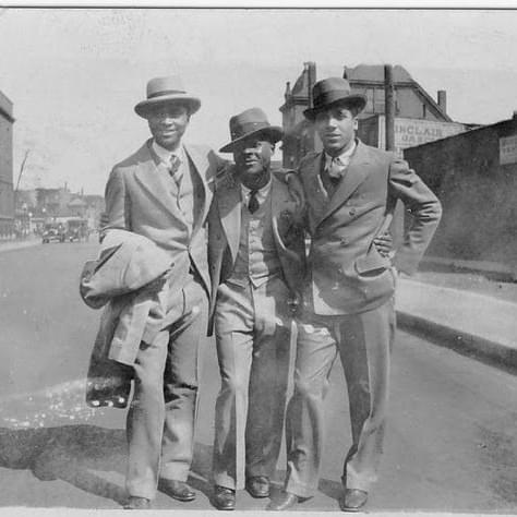 Cover image for Fly Young Gentlemen