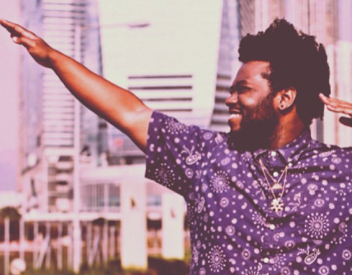 Cover image for James Fauntleroy