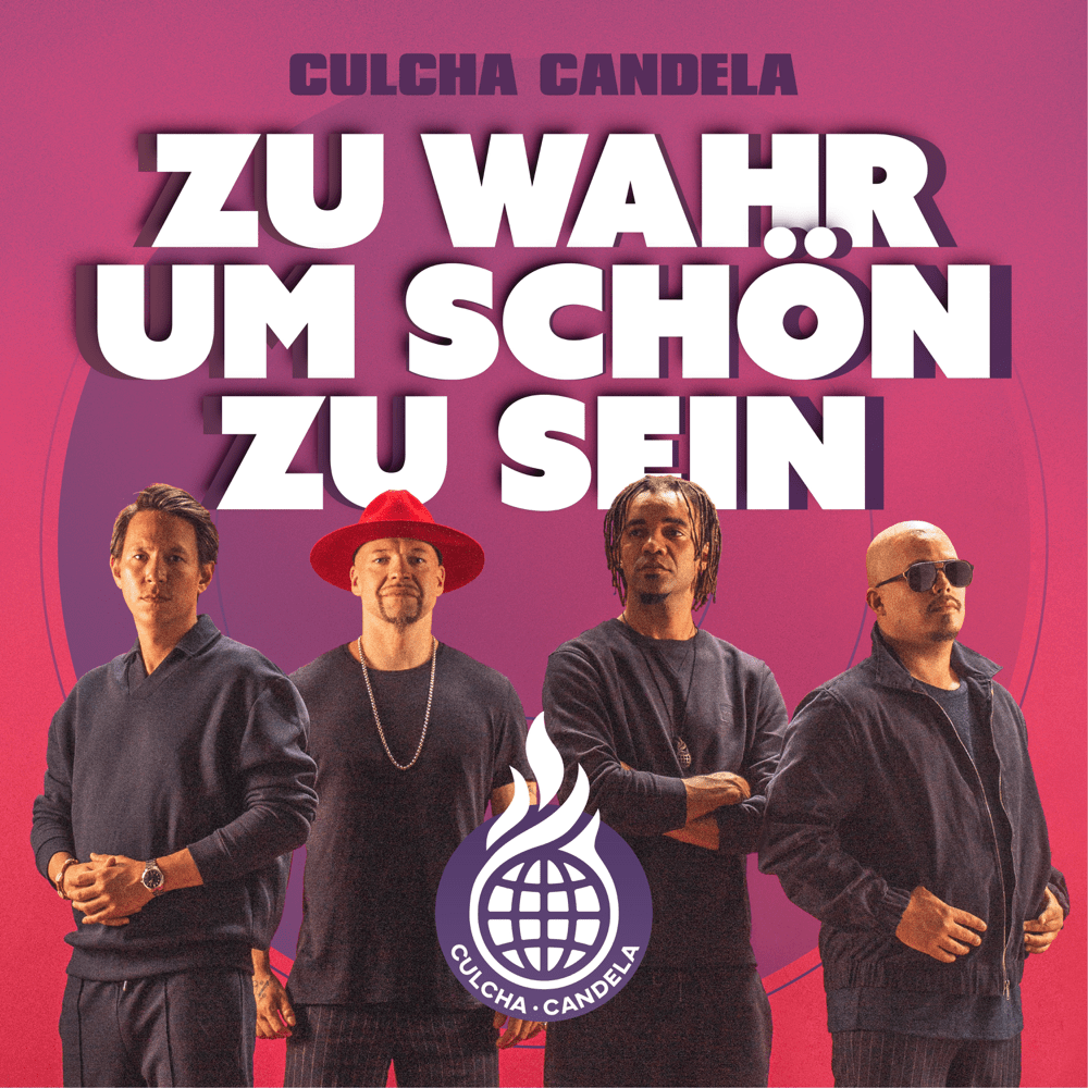 Cover image for Zu wahr um schön zu sein