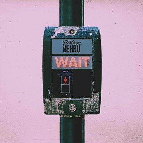 Album cover art for "Wait..." by Bishop Nehru