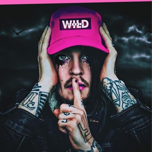 Cover image for Str8 Wild