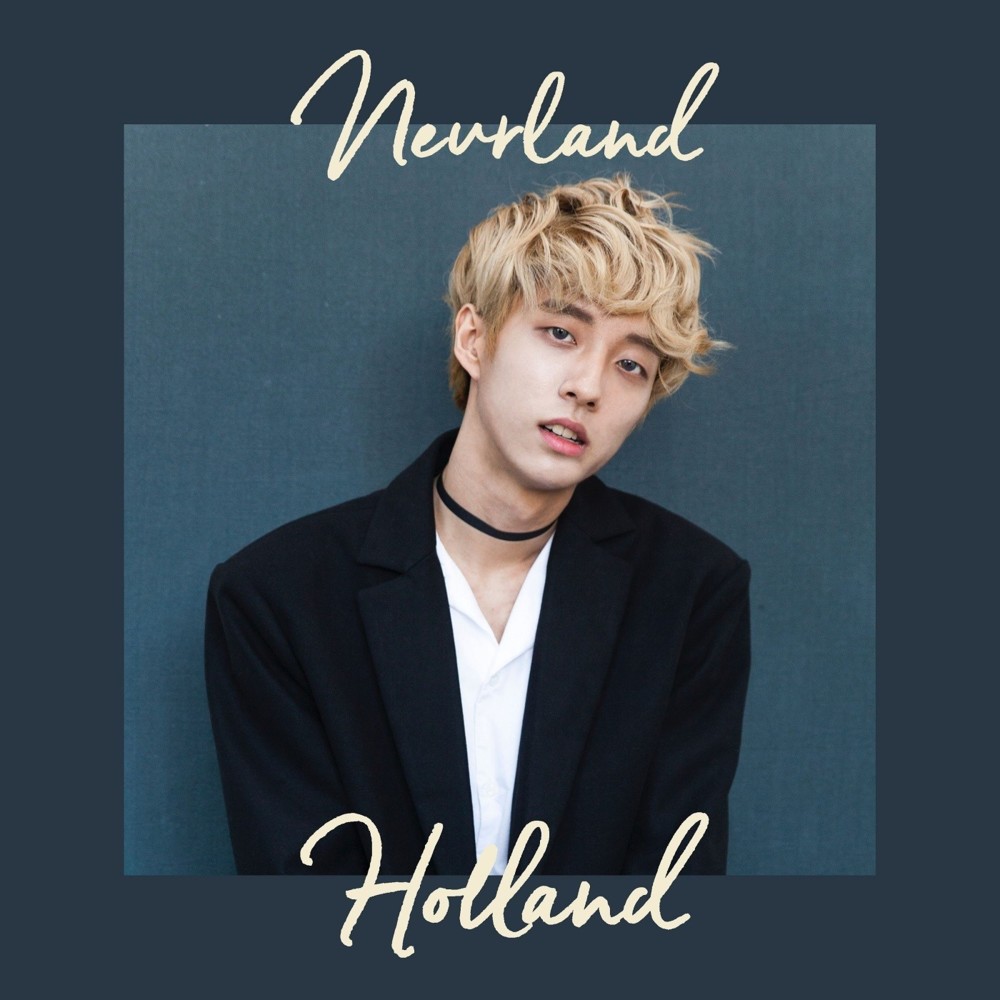 Cover image for NEVERLAND