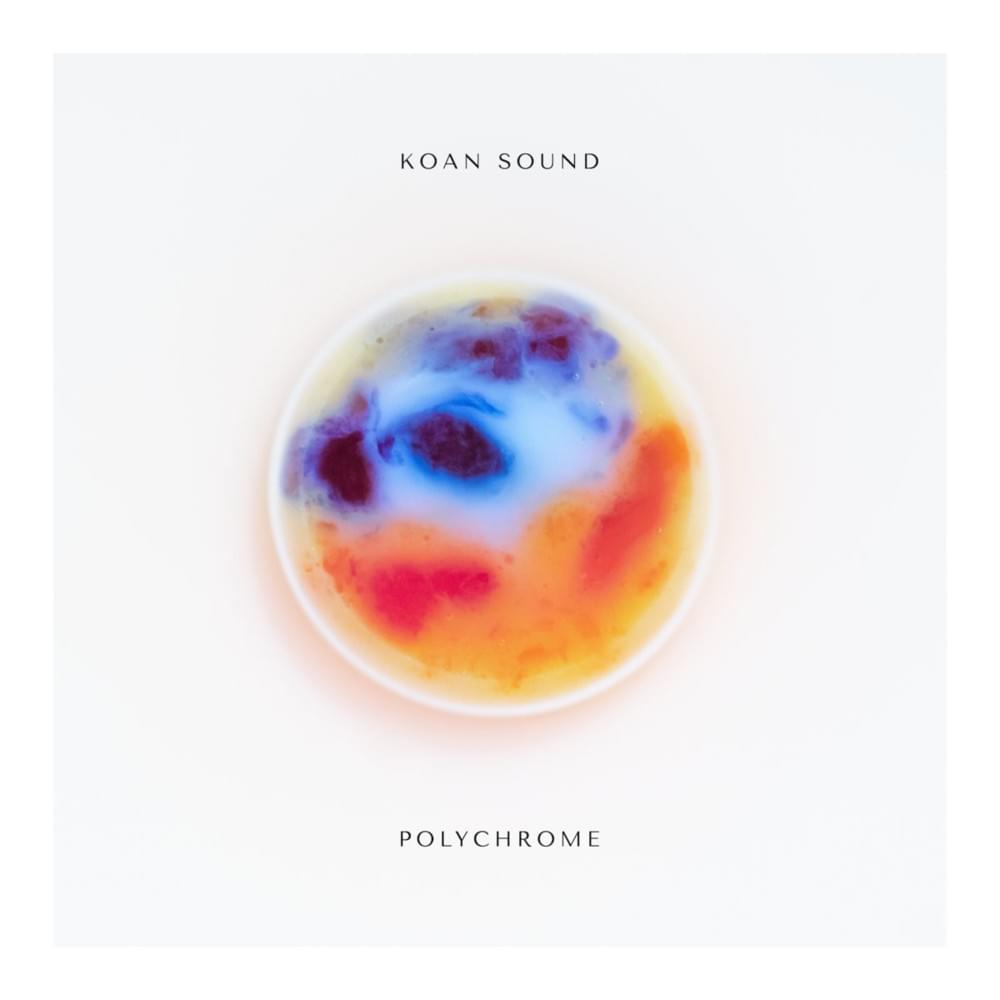 Cover image for Polychrome