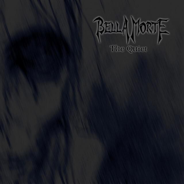 Cover image for The Quiet