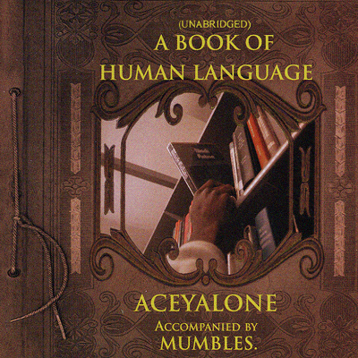The Guidelines by Aceyalone