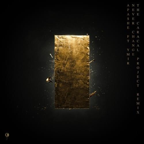 Album cover art for "Never Change (The Caracal Project Remix)" by Apashe