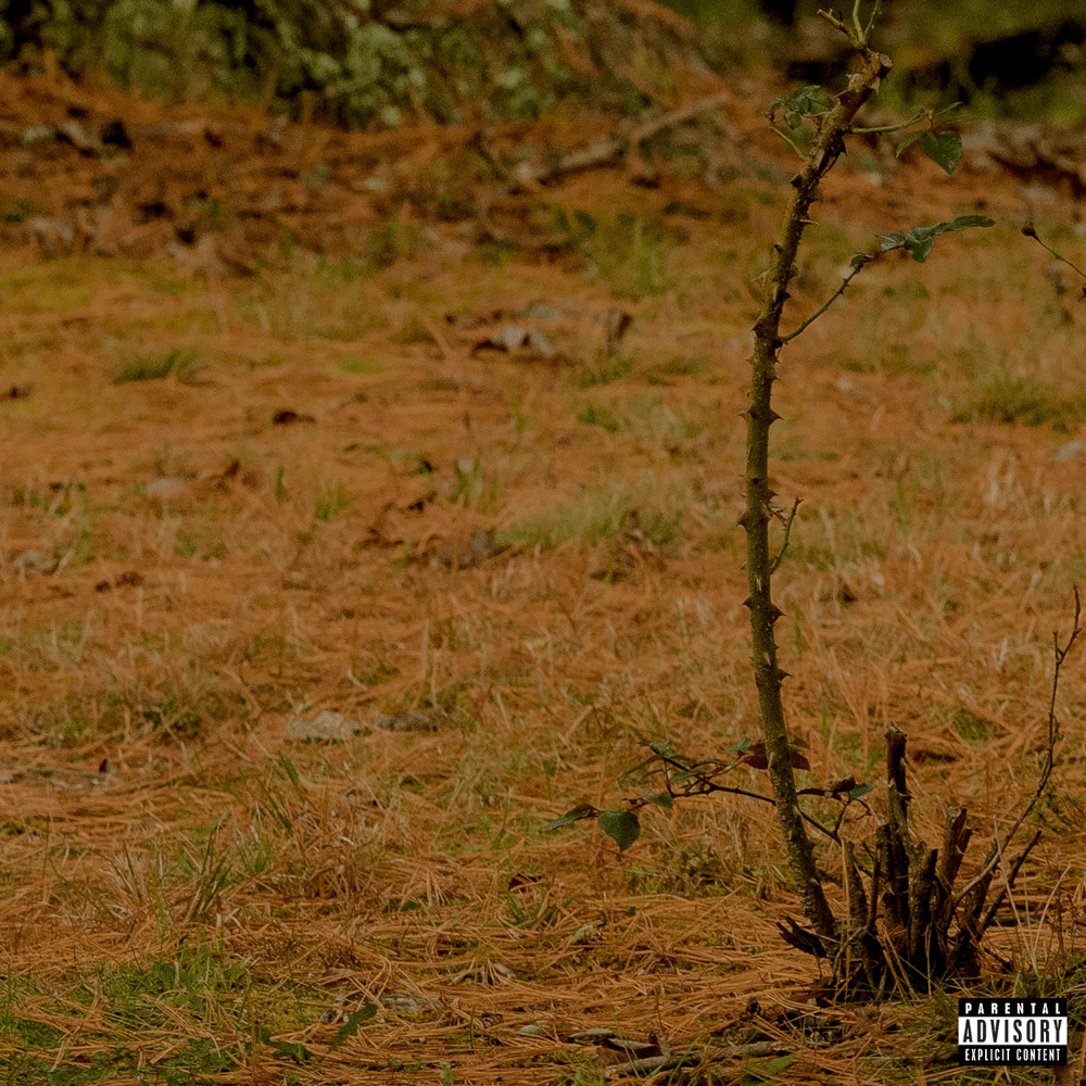 Album cover art for "eyesore" by glaive