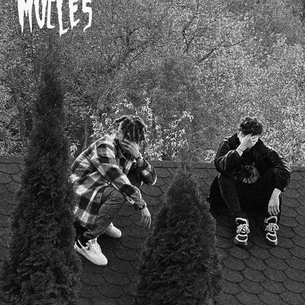 Album cover art for "Mucle$" by Killa Fonic
