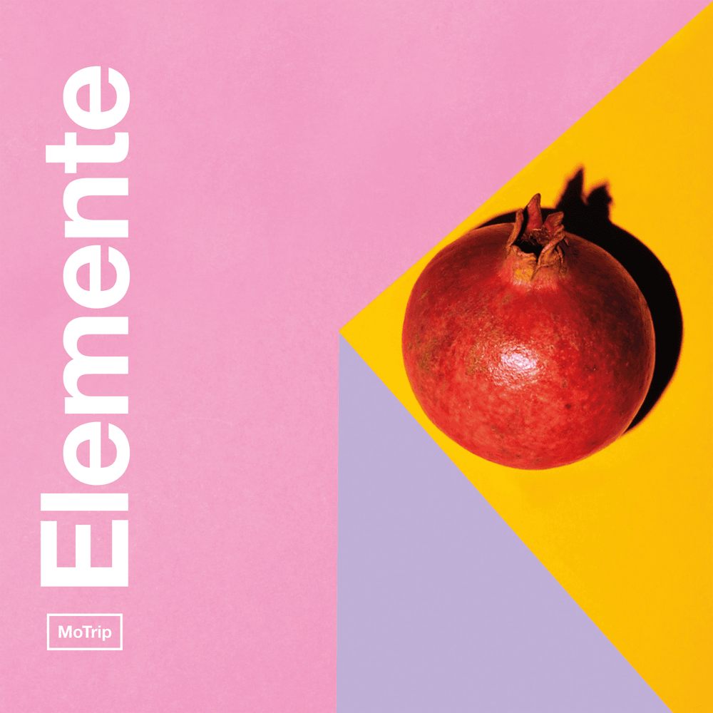 Cover image for Elemente