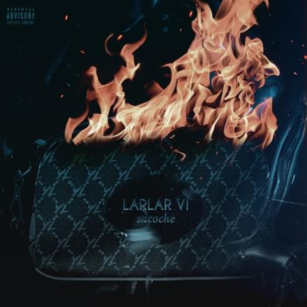 Album cover art for "Larlar 6 (Sacoche)" by YL