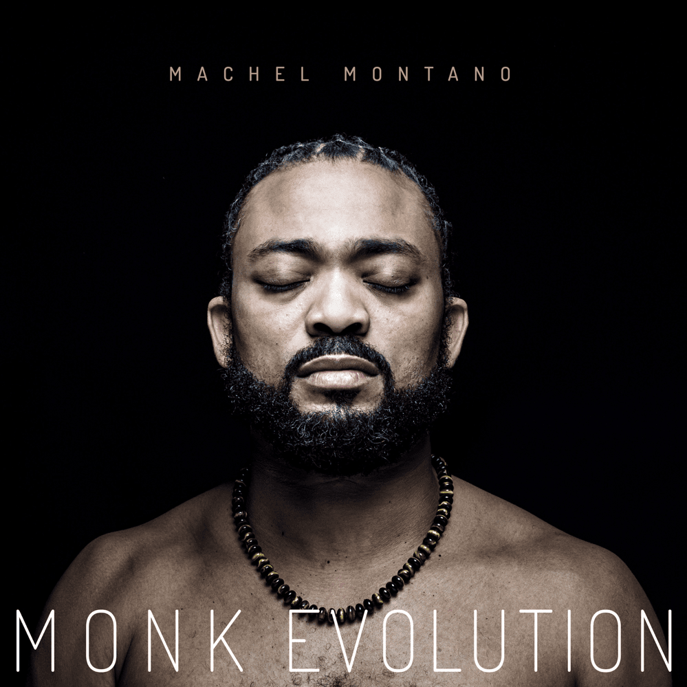 Cover image for Monk Evolution