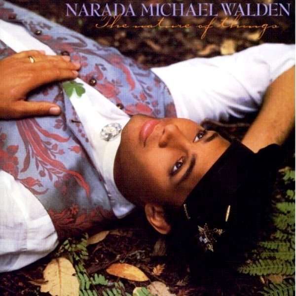 Album cover art for "Gimme Gimme Gimme" by Narada Michael Walden & Patti Austin