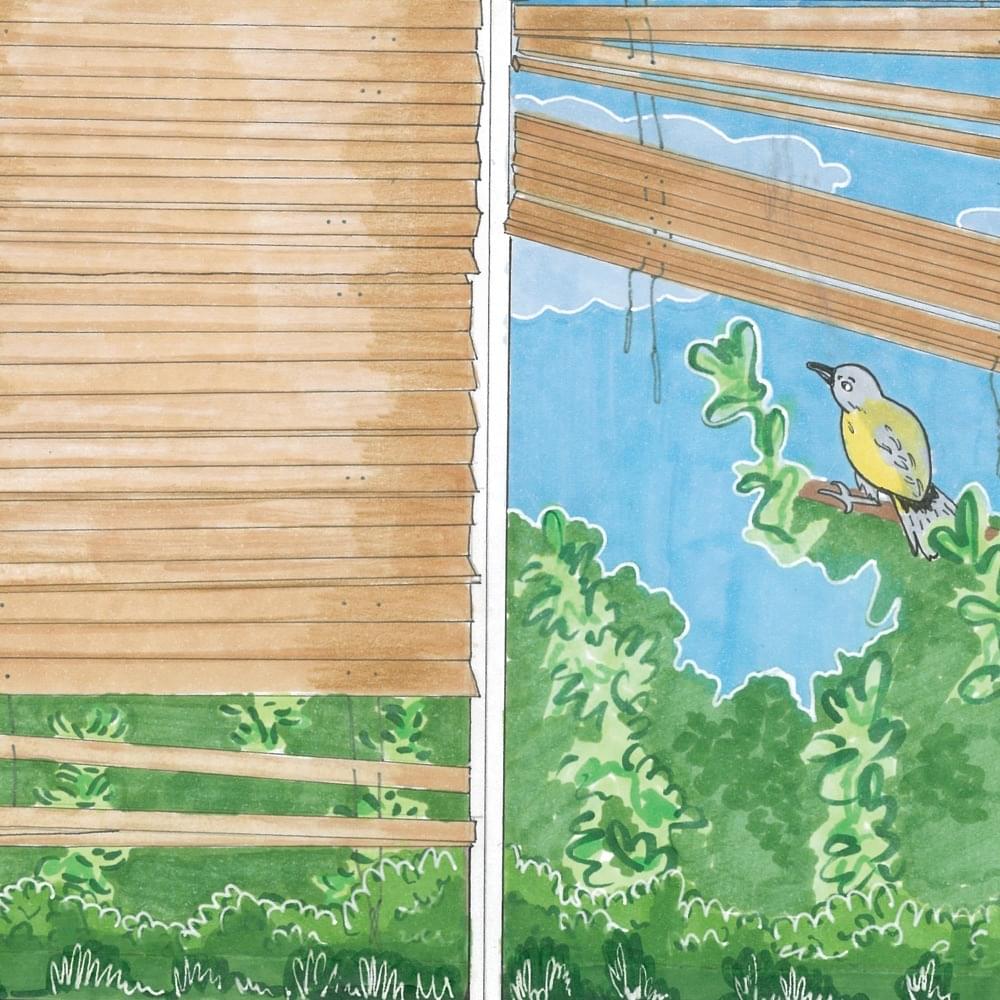 Album cover art for "Bird Sing" by Anna of the North