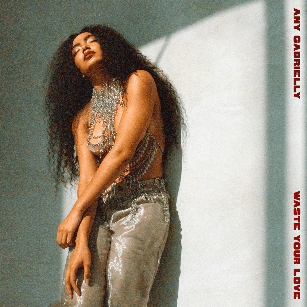Waste Your Love by Any Gabrielly