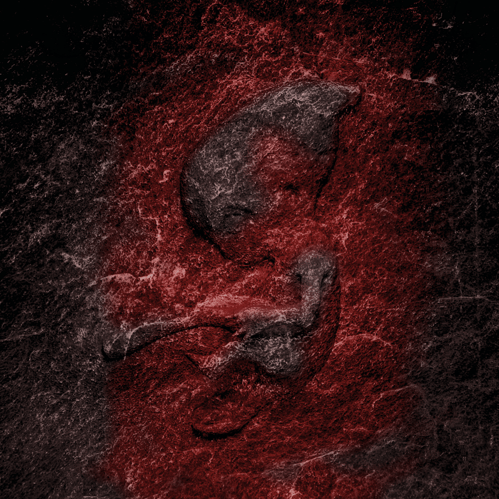 Album cover art for "テンカス (Tenkasu)" by Tohji