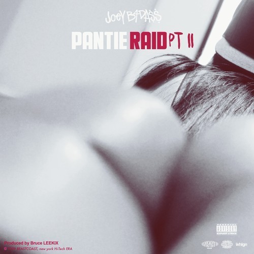 Album cover art for "PantiE Raid Pt. II" by Joey Bada$$
