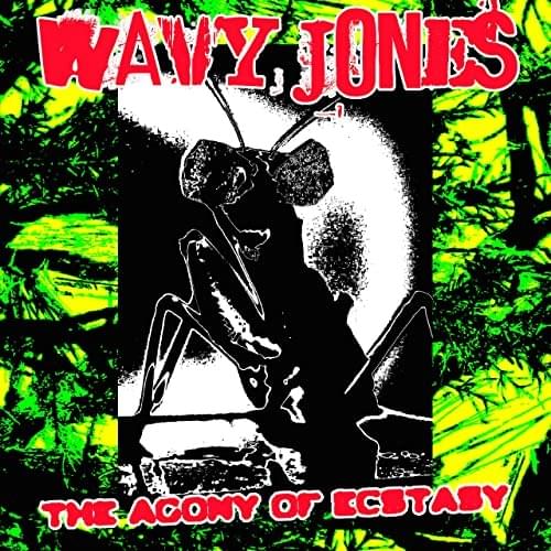 Album cover art for "The Agony of Ecstasy" by Wavy Jone$