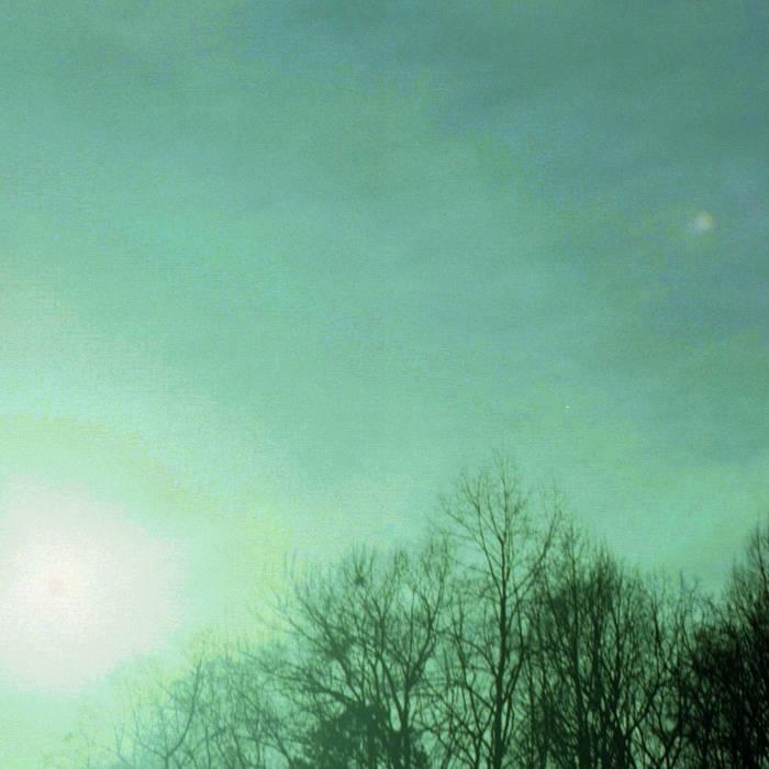 ​it was gone by Orchid Mantis