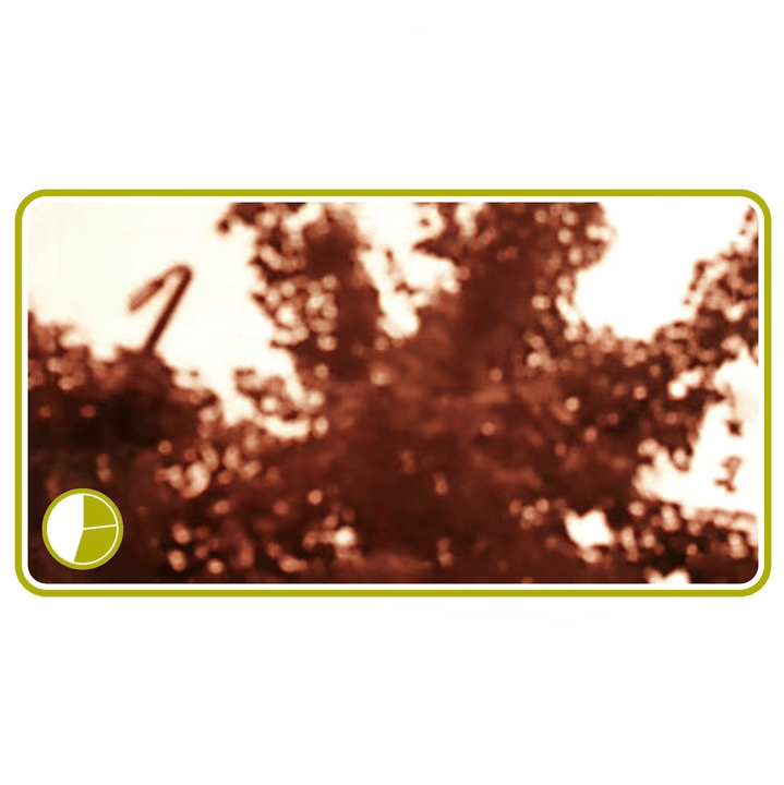 Album cover art for "#10 (Tree)" by Aphex Twin
