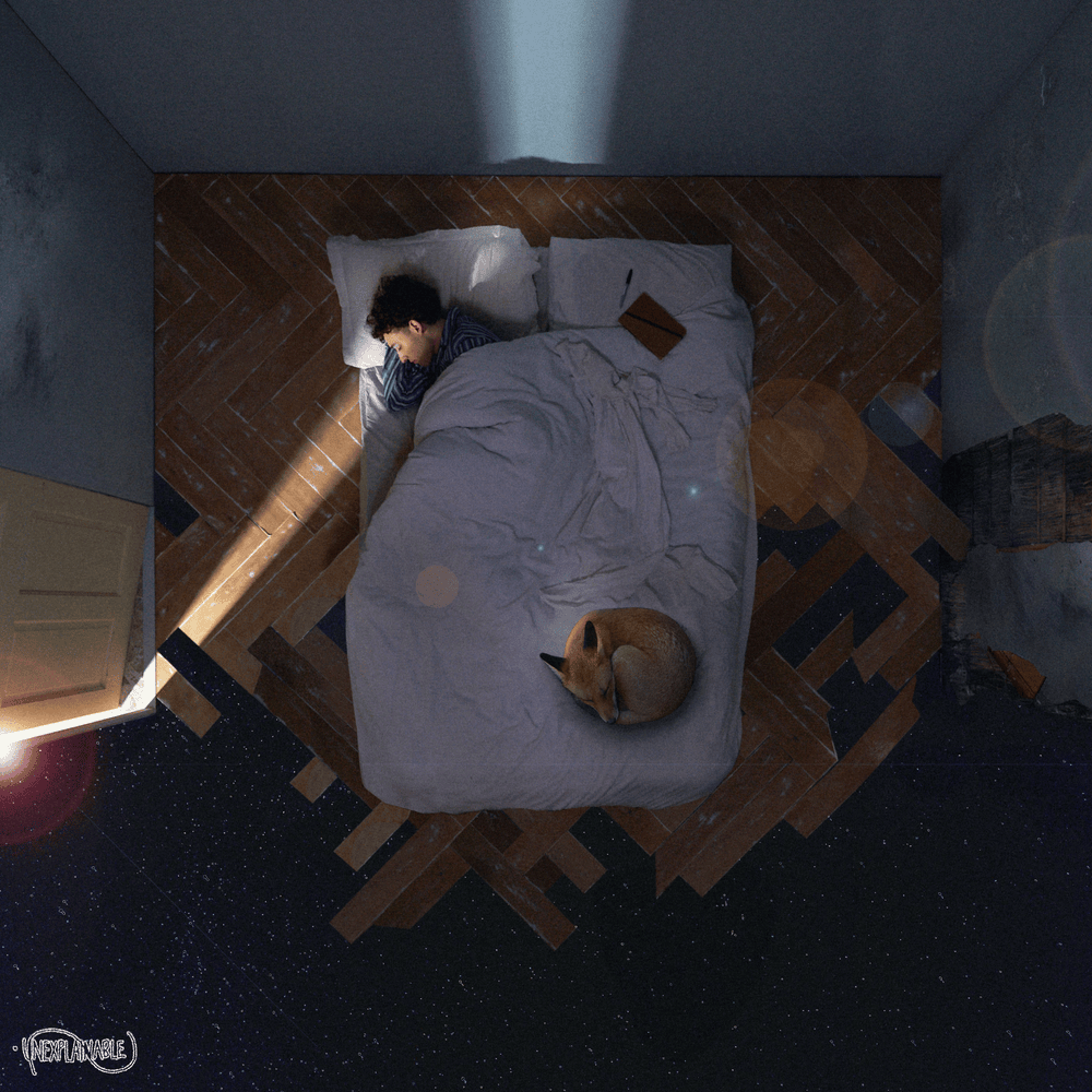 Unexplainable by Nemo