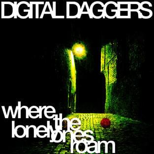 Where the Lonely Ones Roam by Digital Daggers