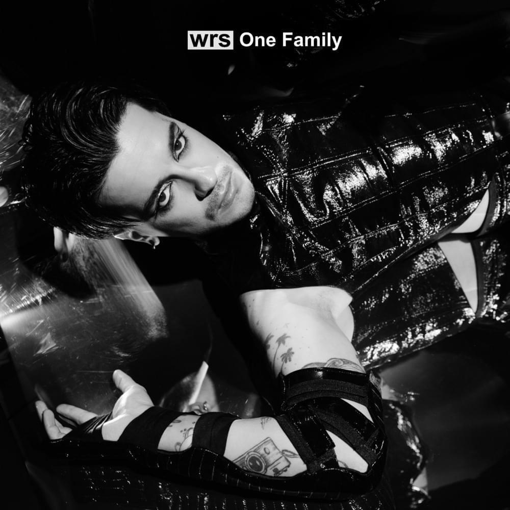 Album cover art for "One Family" by Andrei Ursu