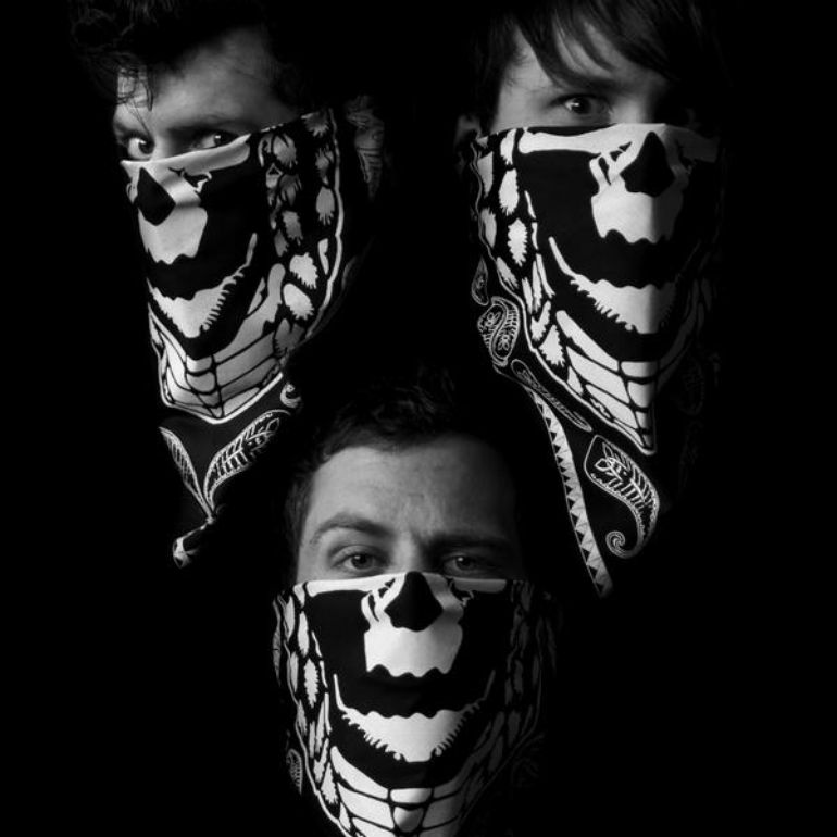 Cover image for Cobra Skulls