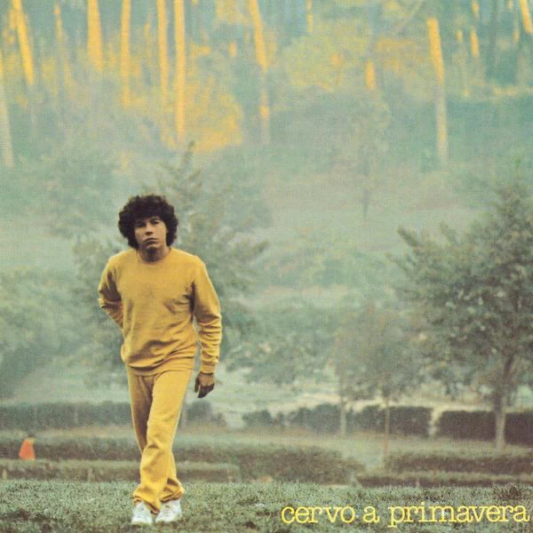 Album cover art for "Cervo a primavera" by Riccardo Cocciante