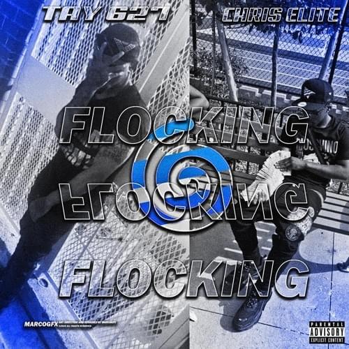 Flocking by Tay627