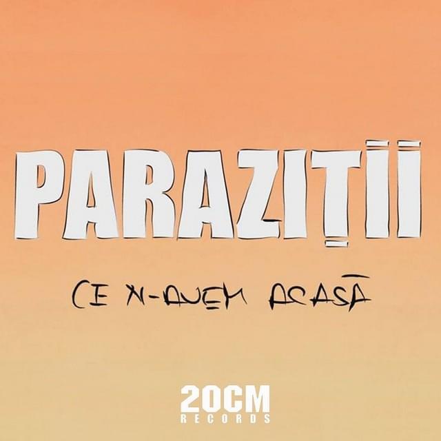 Cover image for Ce n-avem acasă