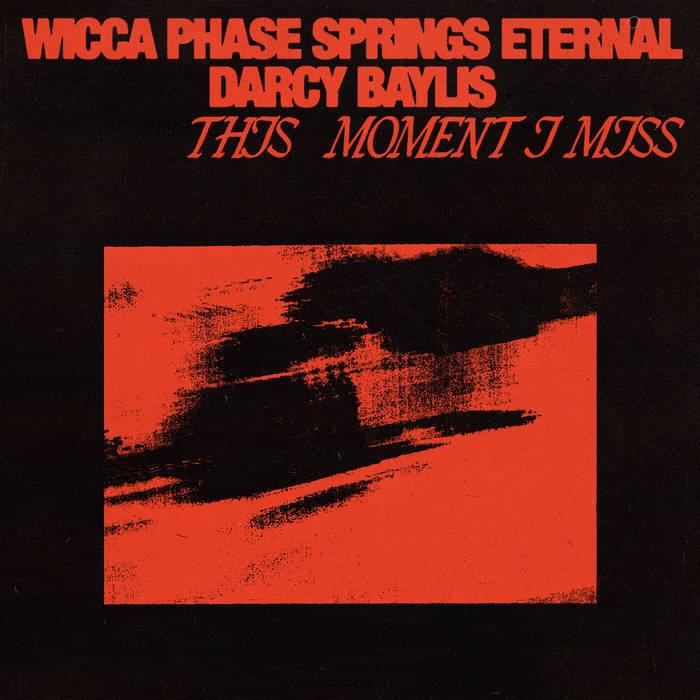 Album cover art for "Pull It Forward" by Wicca Phase Springs Eternal
