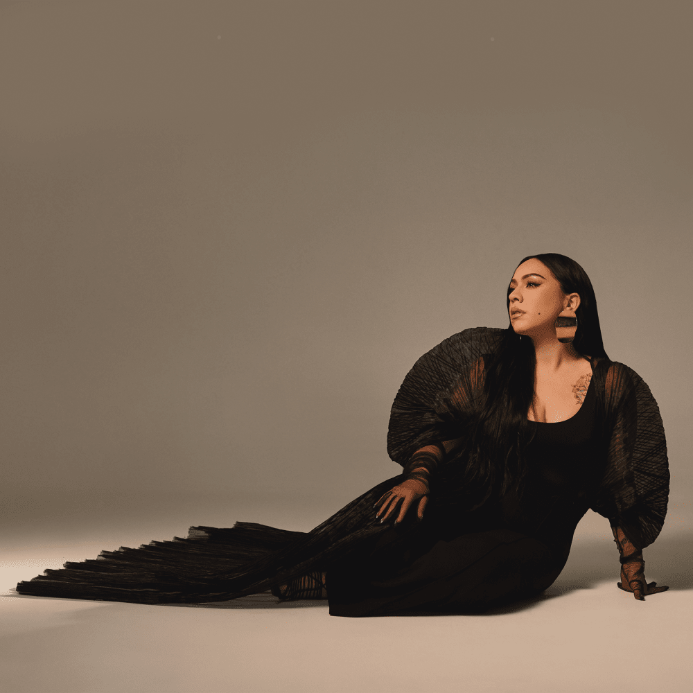 Cover image for El Renacimiento
