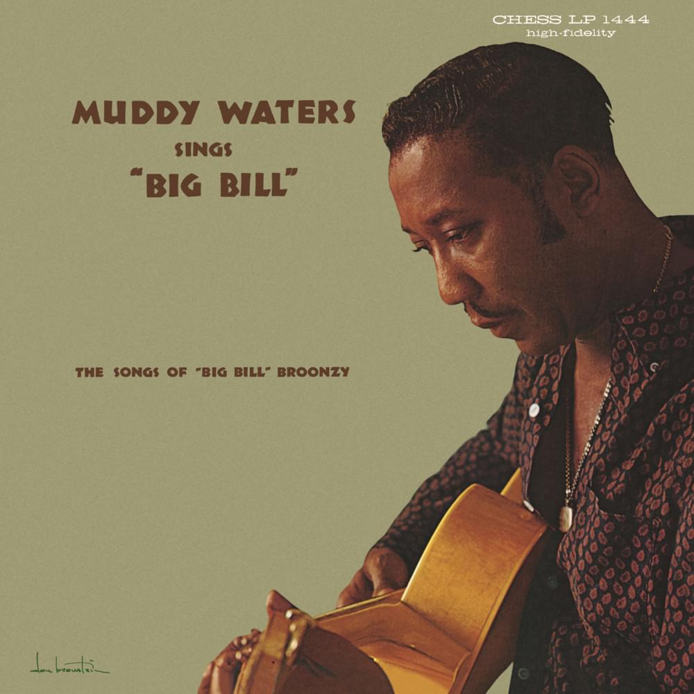 Album cover art for "Double Trouble" by Muddy Waters