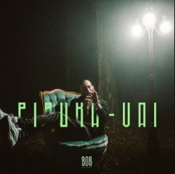 Album cover art for "Vai" by Piruka