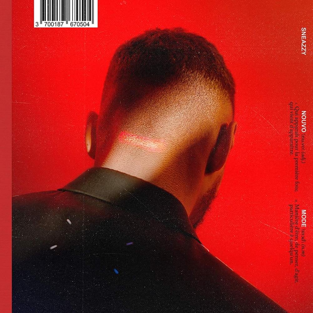 ZÉRO DÉTAIL by Sneazzy
