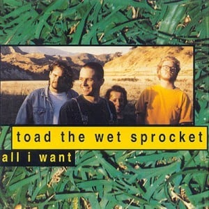 Album cover art for "All I Want" by Toad the Wet Sprocket